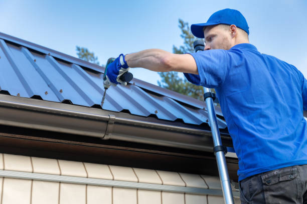Best Skylight Installation and Repair  in Minden, NE